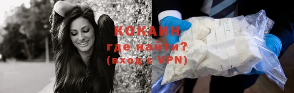 шишки Михайлов