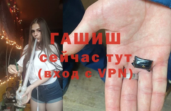 шишки Михайлов