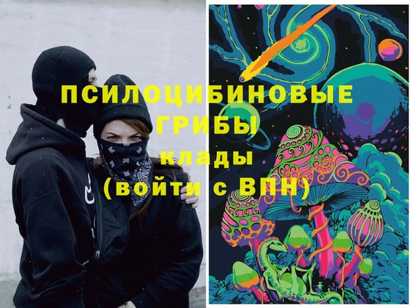 шишки Михайлов