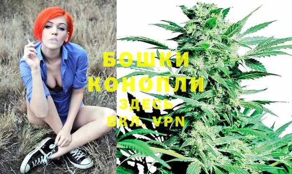 шишки Михайлов
