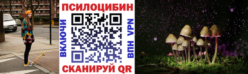 купить наркоту  Мурино  мега ONION  Псилоцибиновые грибы ЛСД 