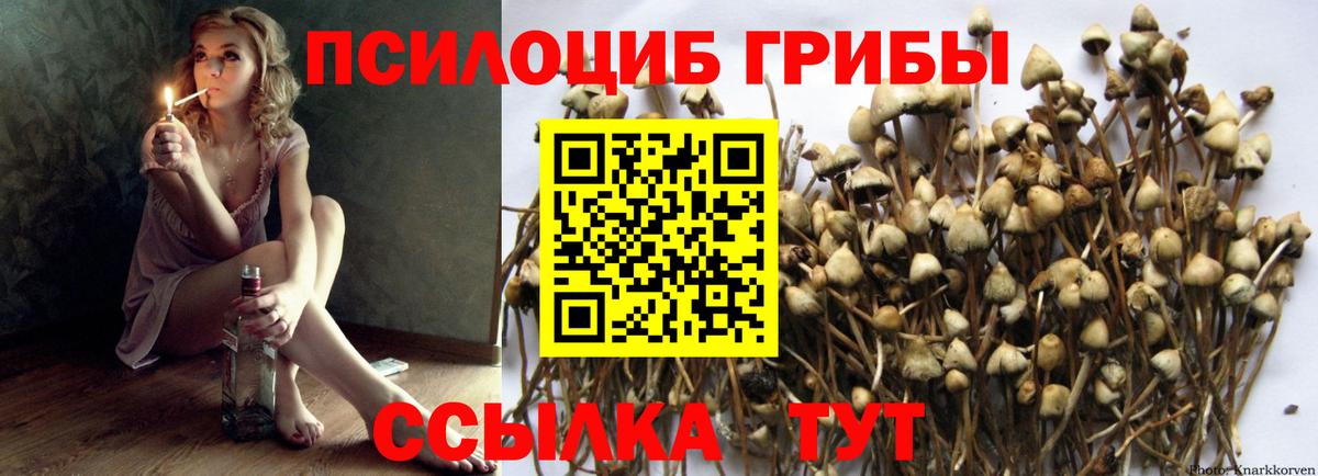 Галлюциногенные грибы GOLDEN TEACHER  Вход с VPN  Мурино 