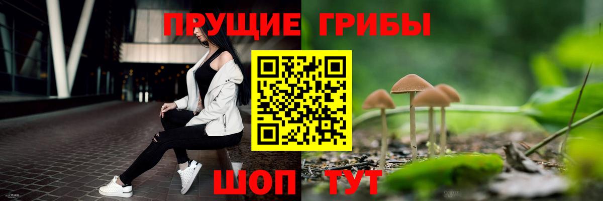 Псилоцибиновые грибы мицелий Мурино