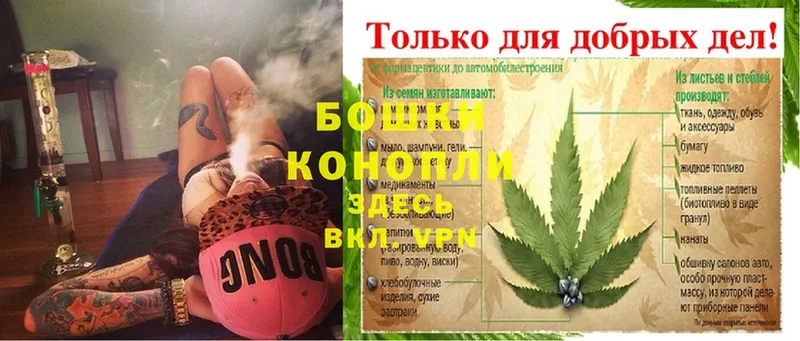 ссылка на мегу зеркало  как найти   Мурино  Шишки марихуана THC 21% 